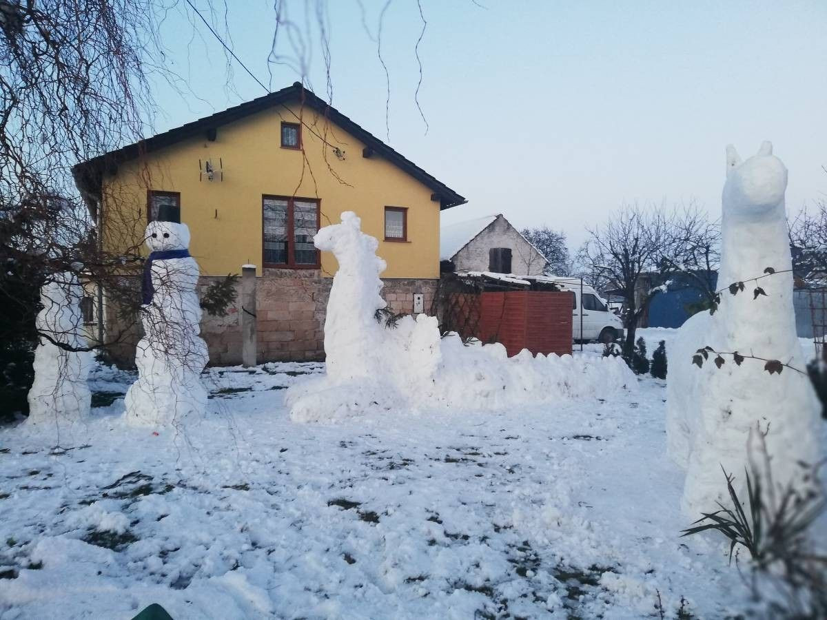 Mieszkańcy Łazisk mają swojego dinozaura