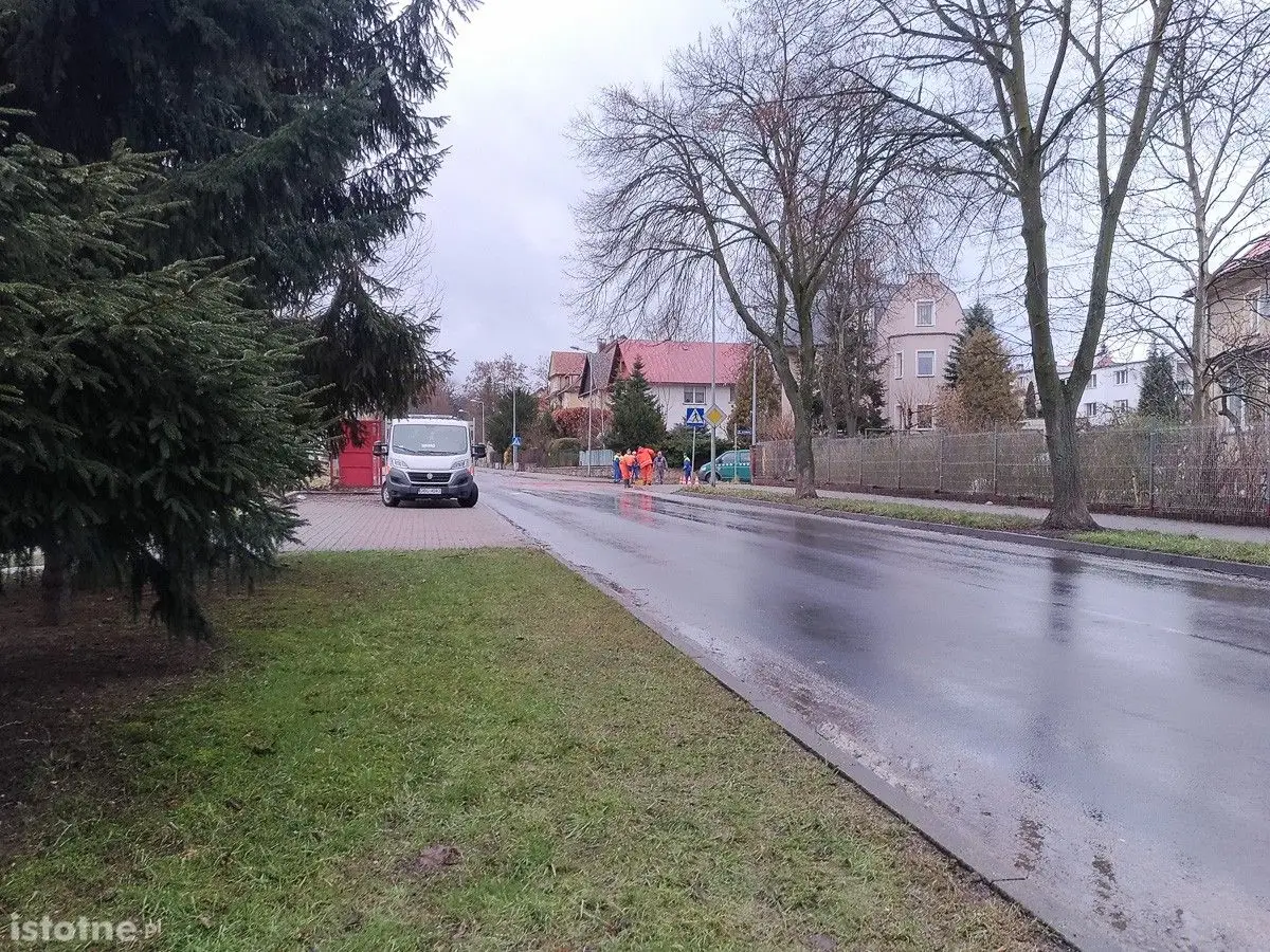 Plama na Willowej