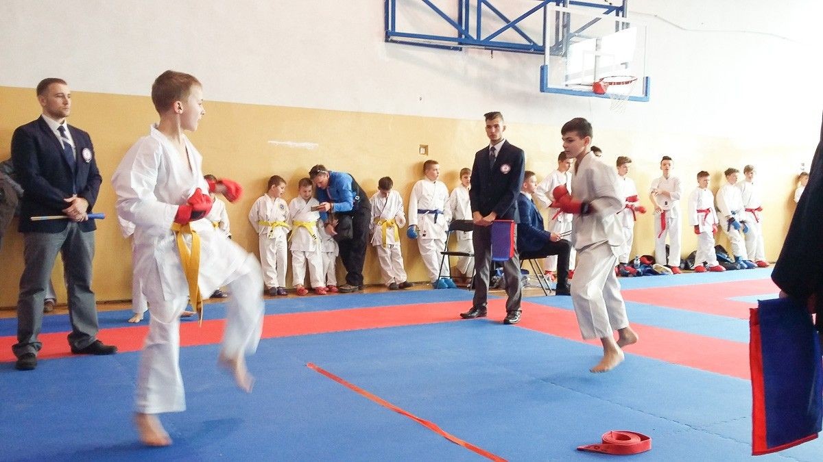 Grad medali bolesławieckich karateków w Ścinawie