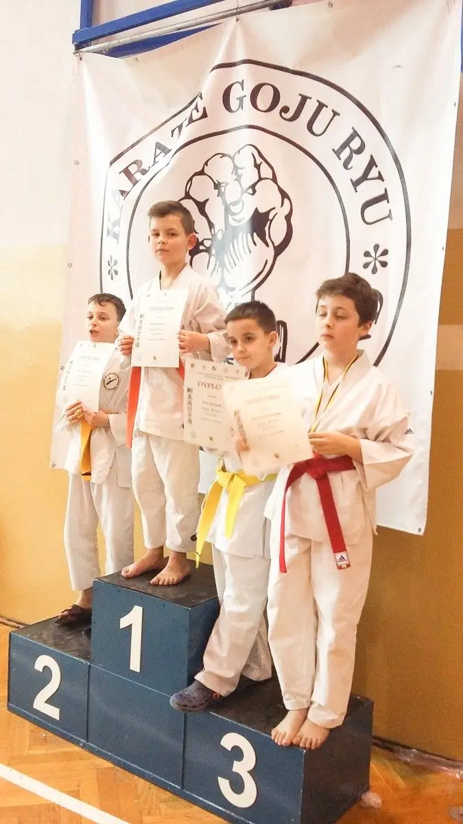 Grad medali bolesławieckich karateków w Ścinawie