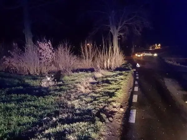 Samochód zmasakrowany po uderzeniu w drzewo. Wichura nad powiatem