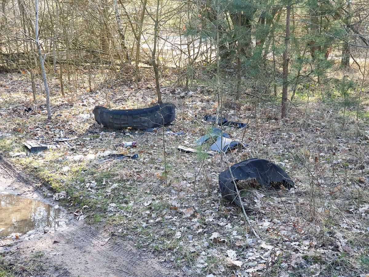 Syf na bolesławieckiej żwirowni