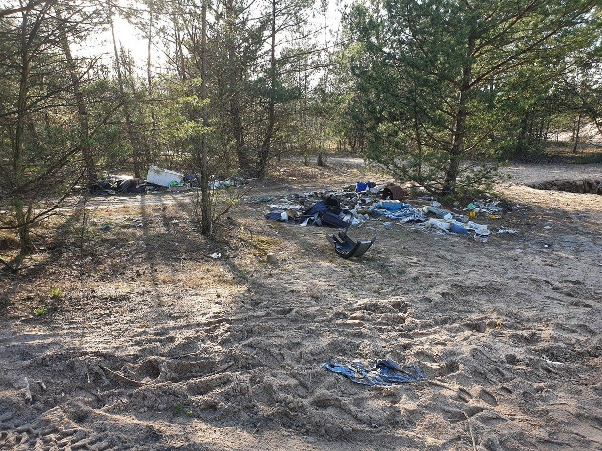 Syf na bolesławieckiej żwirowni