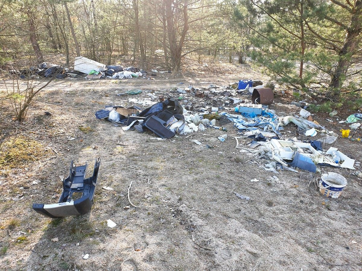 Syf na bolesławieckiej żwirowni