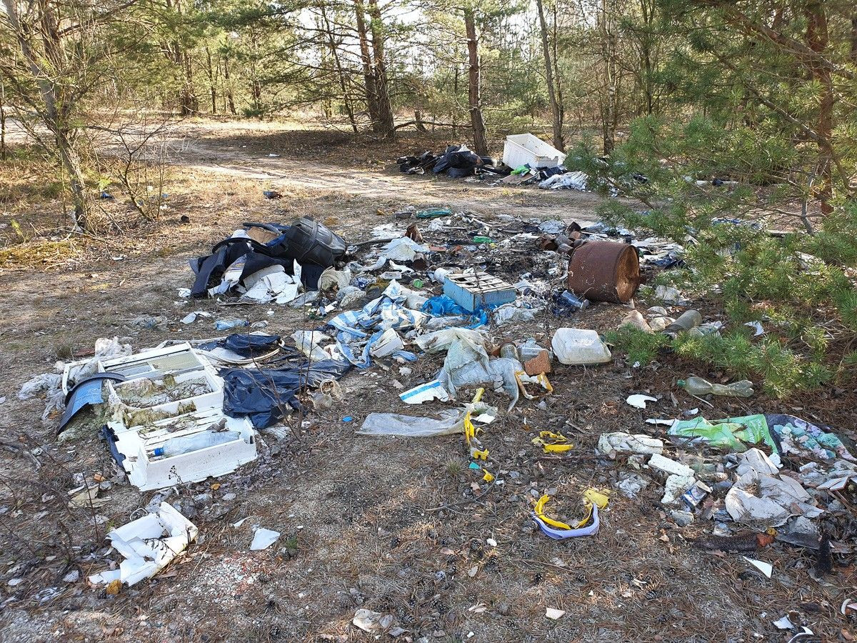 Syf na bolesławieckiej żwirowni