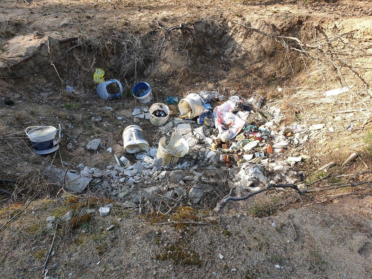 Syf na bolesławieckiej żwirowni