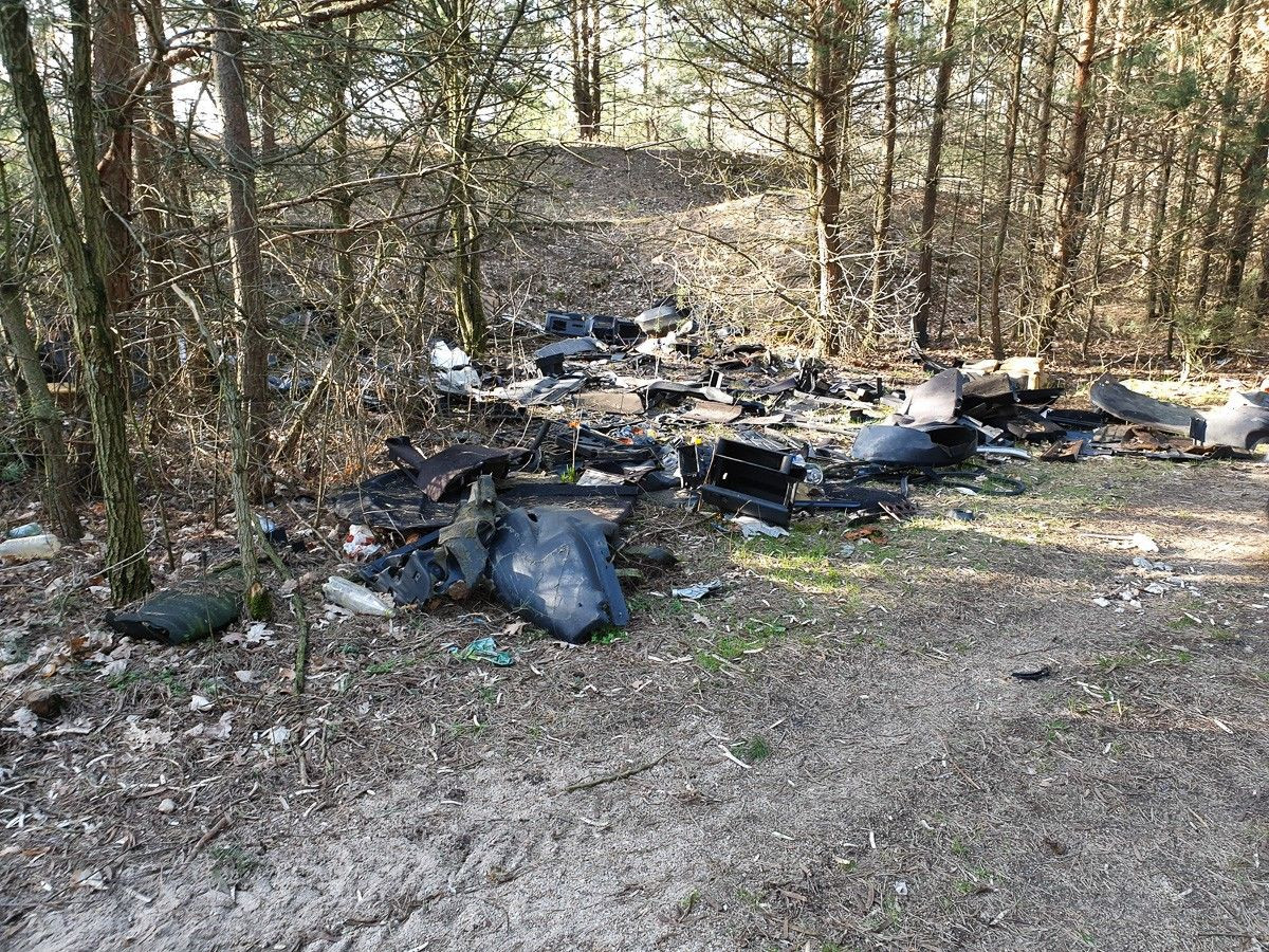 Syf na bolesławieckiej żwirowni