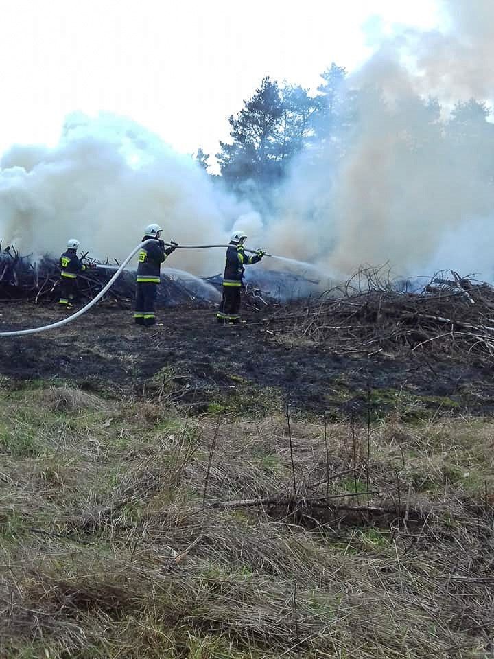 Pożar między Brzeźnikiem a Mierzwinem