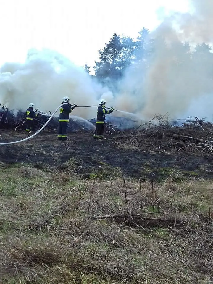 Pożar między Brzeźnikiem a Mierzwinem
