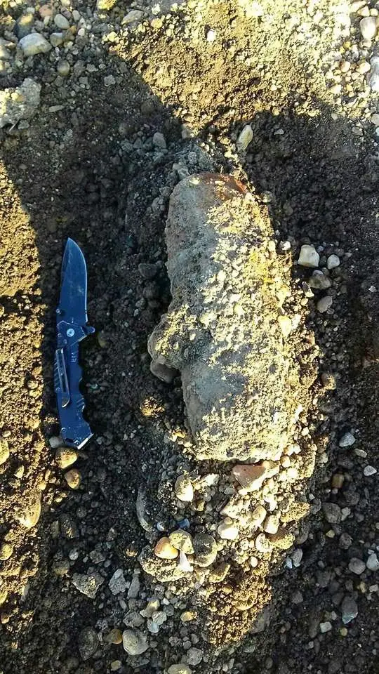 Czwartkowa akcja saperów