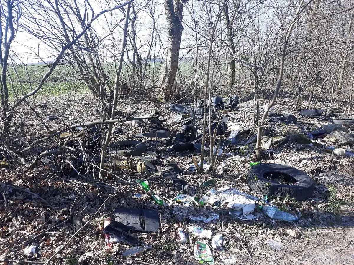 Bajzel między Gierałtowem a Godzieszowem