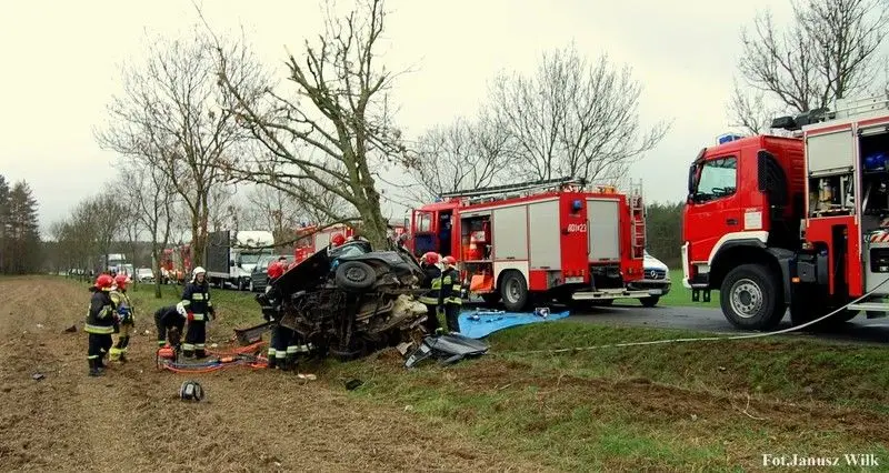 Bmw wylądowało na drzewie. To istny cud, że 22-letni kierowca przeżył