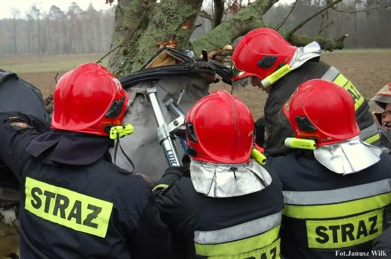 Bmw wylądowało na drzewie. To istny cud, że 22-letni kierowca przeżył