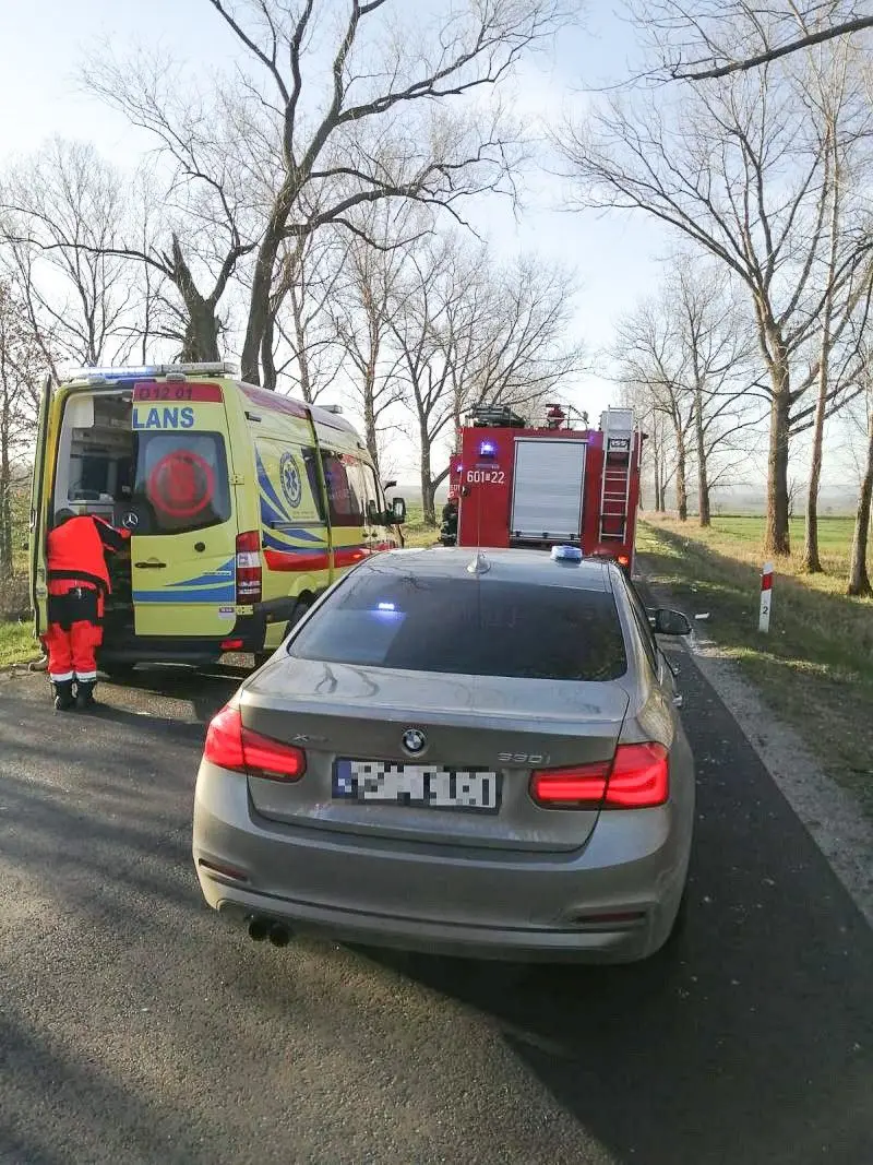 Śmiertelny wypadek na drodze wojewódzkiej