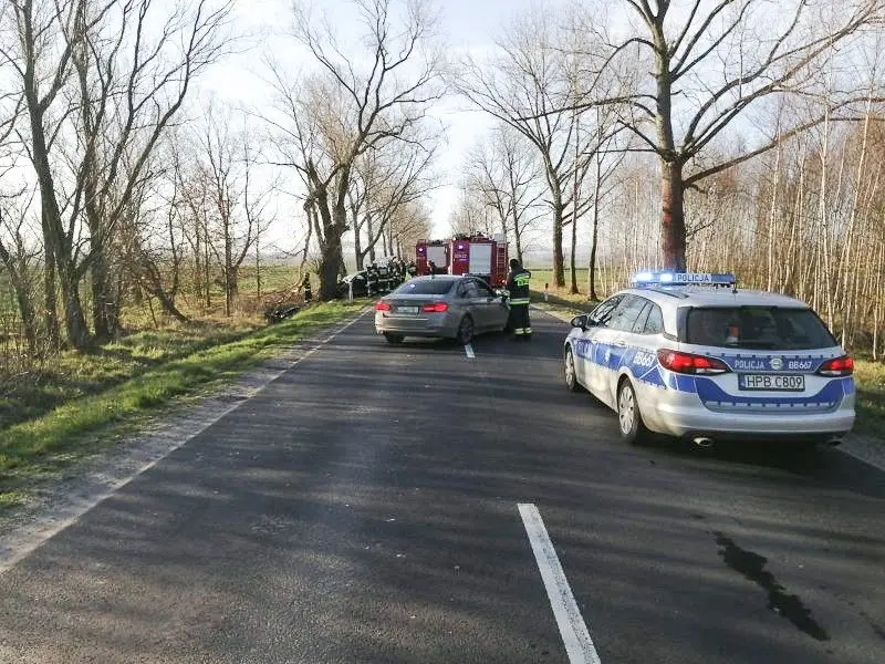 Śmiertelny wypadek na drodze wojewódzkiej