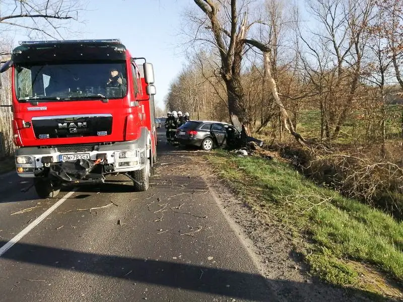 Śmiertelny wypadek na drodze wojewódzkiej
