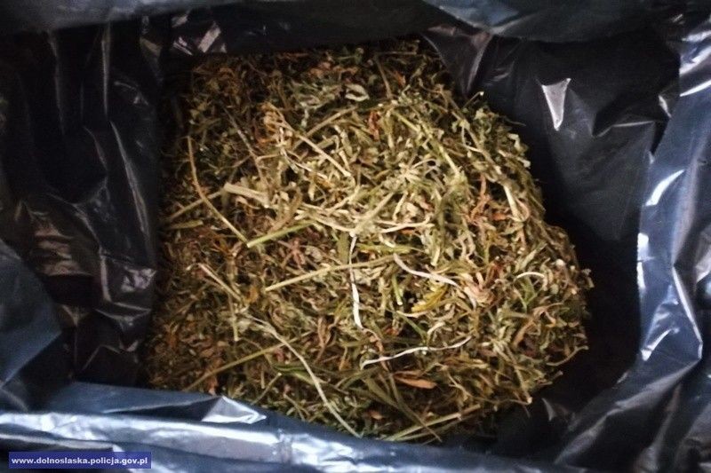 Dolnośląscy policjanci rozbili grupę napadającą na bankomaty