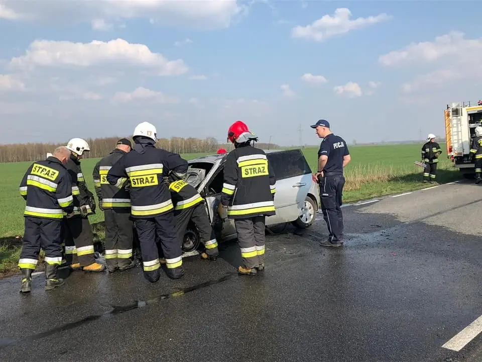 Pożar auta na drodze Nowogrodziec – Gierałtów
