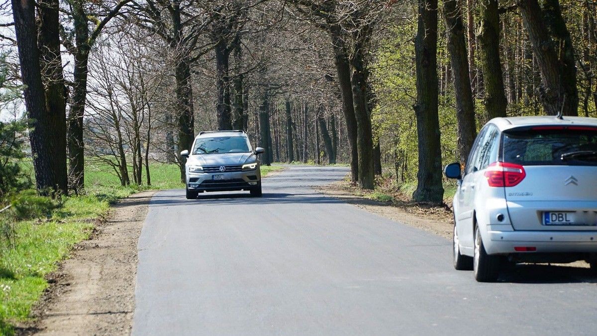 Gładka jak stół: droga między Parzycami a Kierżnem