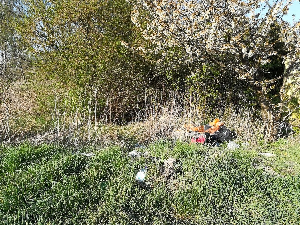 Makabryczny bałagan na Ekonomicznej. „Ludzie to trzoda”