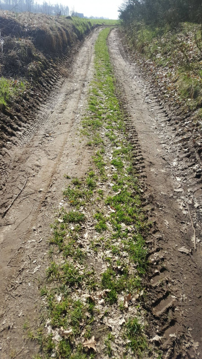 Kto wywozi żwir z nad Bobru w Otoku?