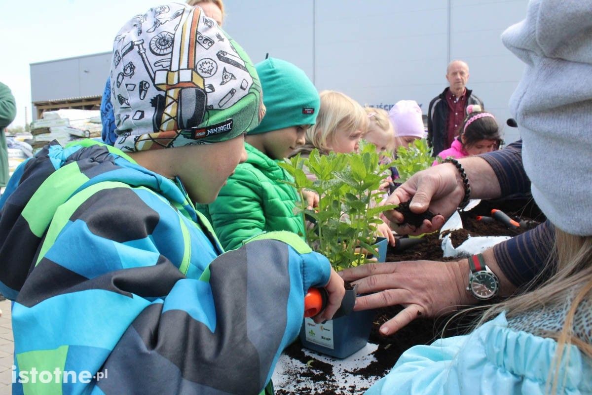 Przedszkolaki w PSB Mrówka