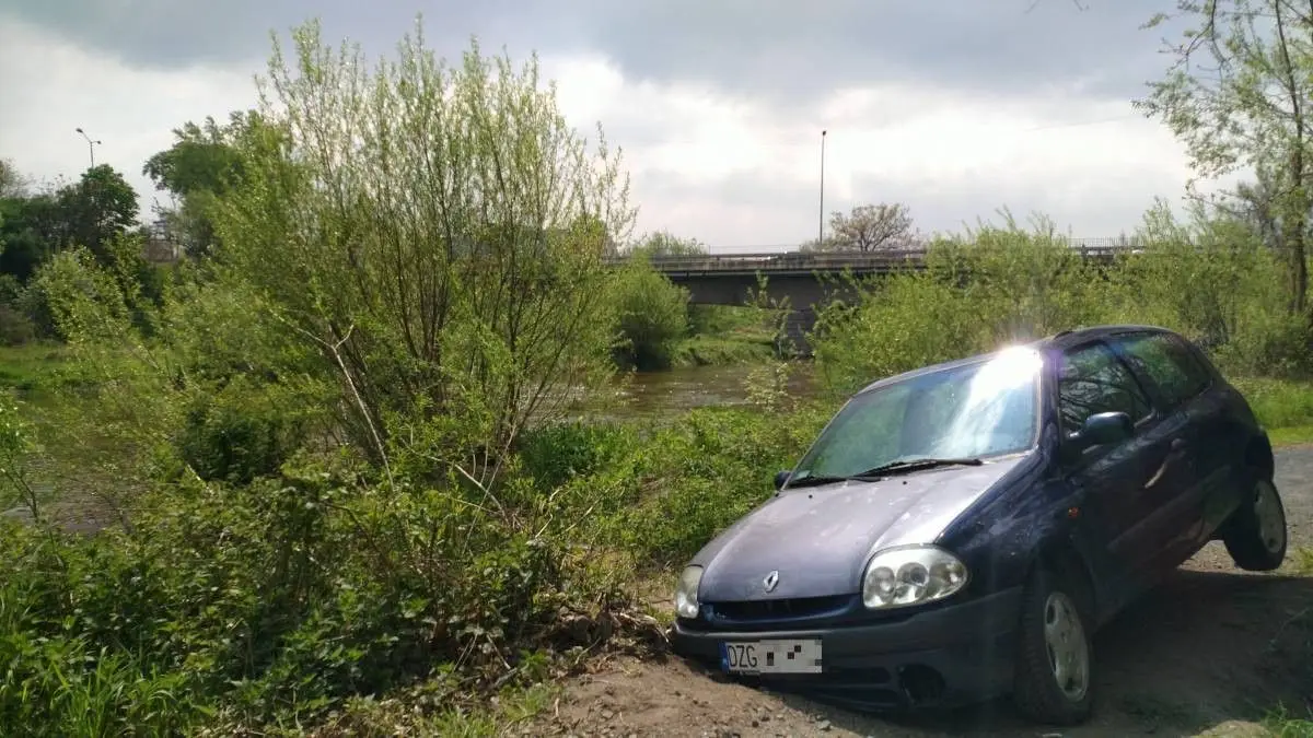 Renault na bobrowej ścieżce