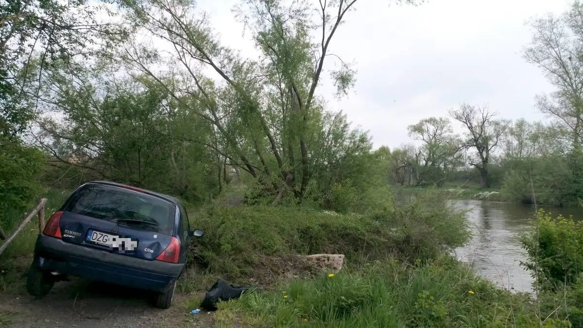 Renault na bobrowej ścieżce