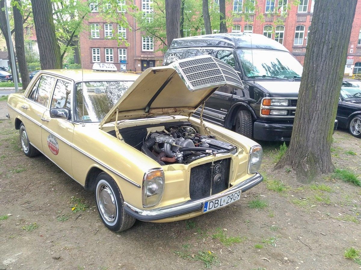 Majówka w parku miejskim