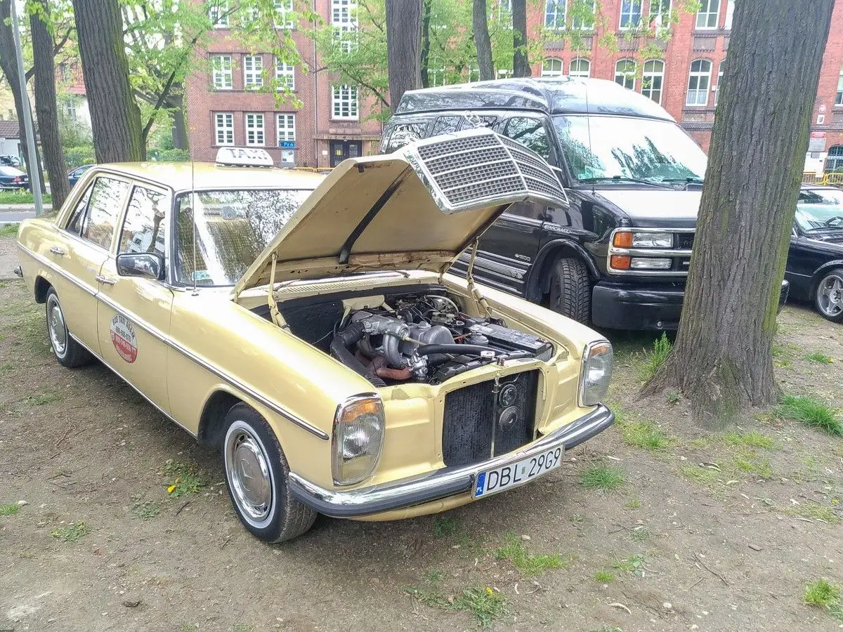 Majówka w parku miejskim