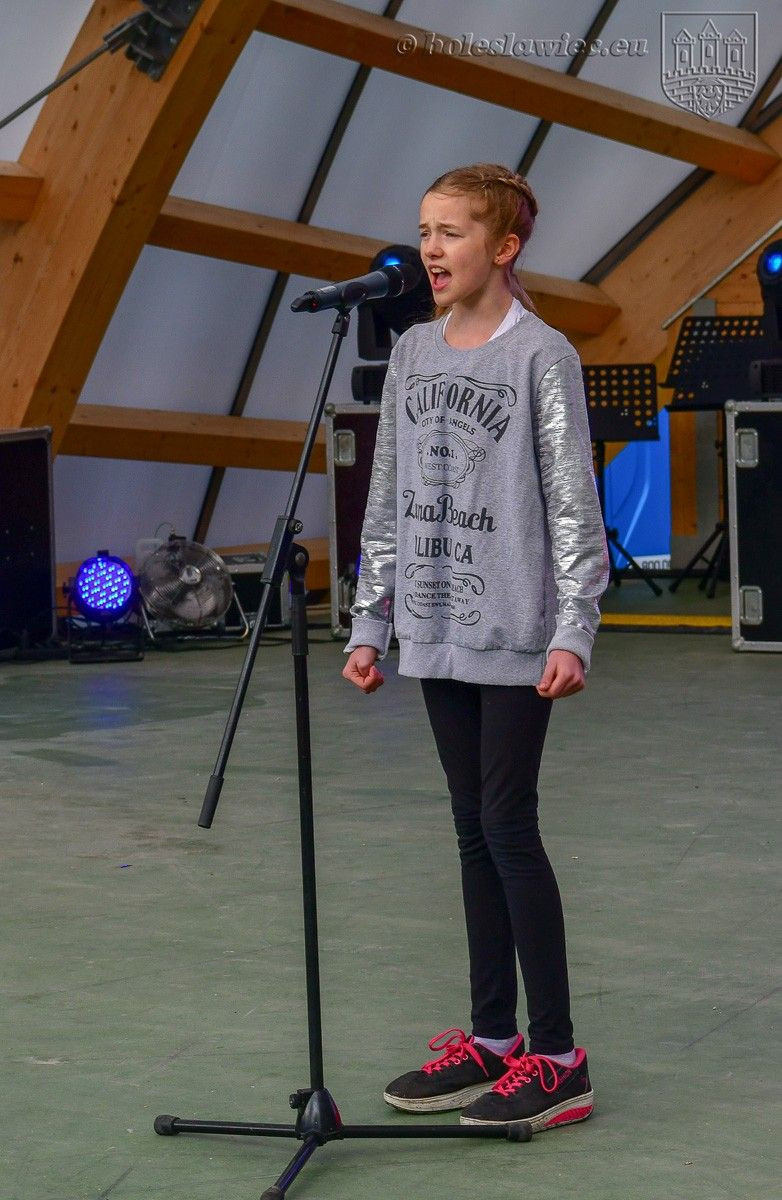 Bolesławianie świętowali 15-lecie Polski w Unii Europejskiej