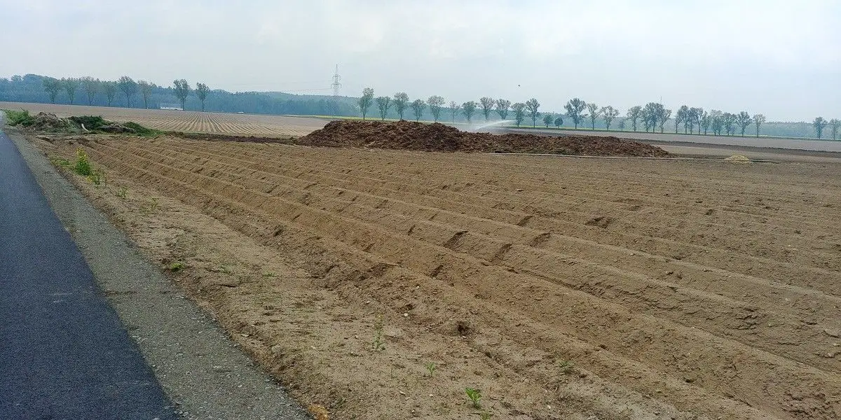 Kupa gnoju straszy przy ścieżce rowerowej