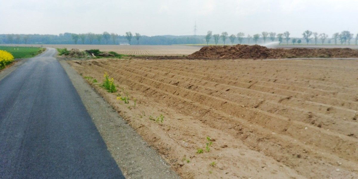 Kupa gnoju straszy przy ścieżce rowerowej