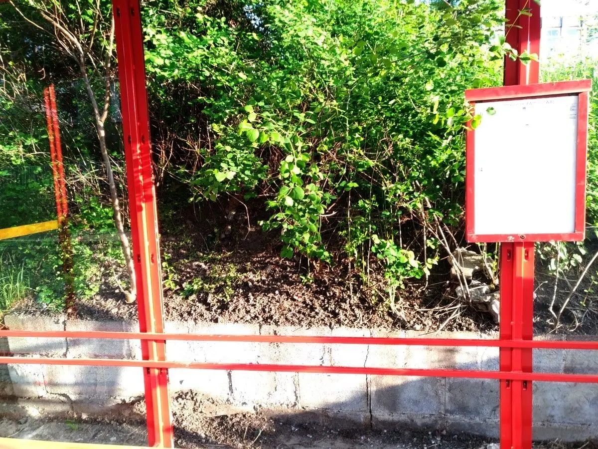 Zniszczone wiaty przystankowe