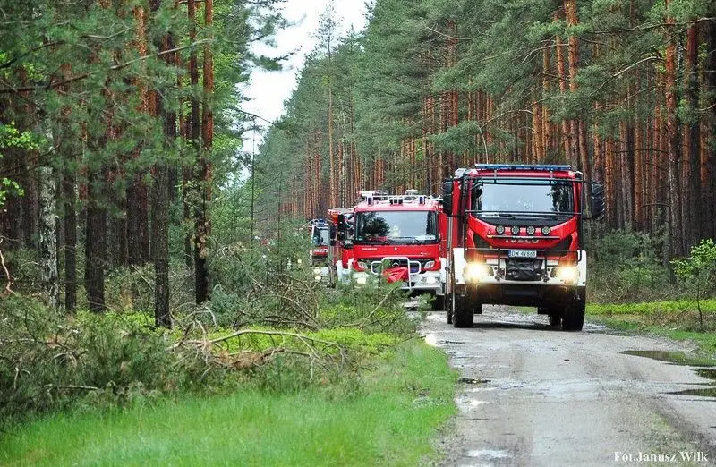 Spektakularne ćwiczenia strażackie „Bory Dolnośląskie 2019”