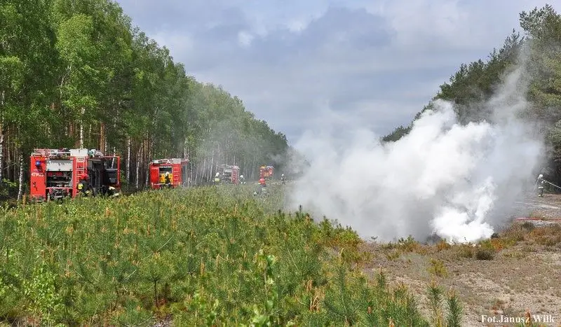 Spektakularne ćwiczenia strażackie „Bory Dolnośląskie 2019”