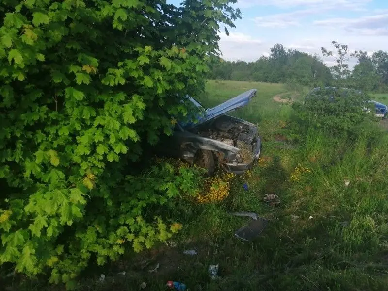 Zebrzydowa: автомобіль з’їхав із дороги