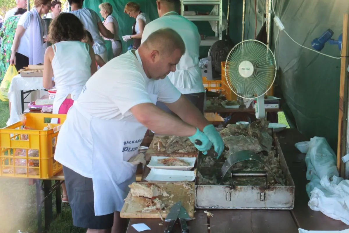 Bałkańska Festa 2019