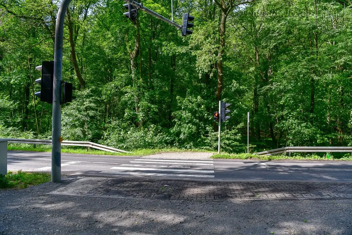 Od 20 czerwca autobusem do Leśnego Potoku. Zatoczka już jest