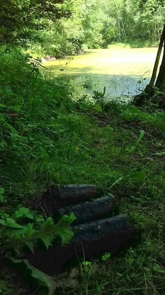 Akcja saperów z Bolesławca i nurków minerów ze Świnoujścia