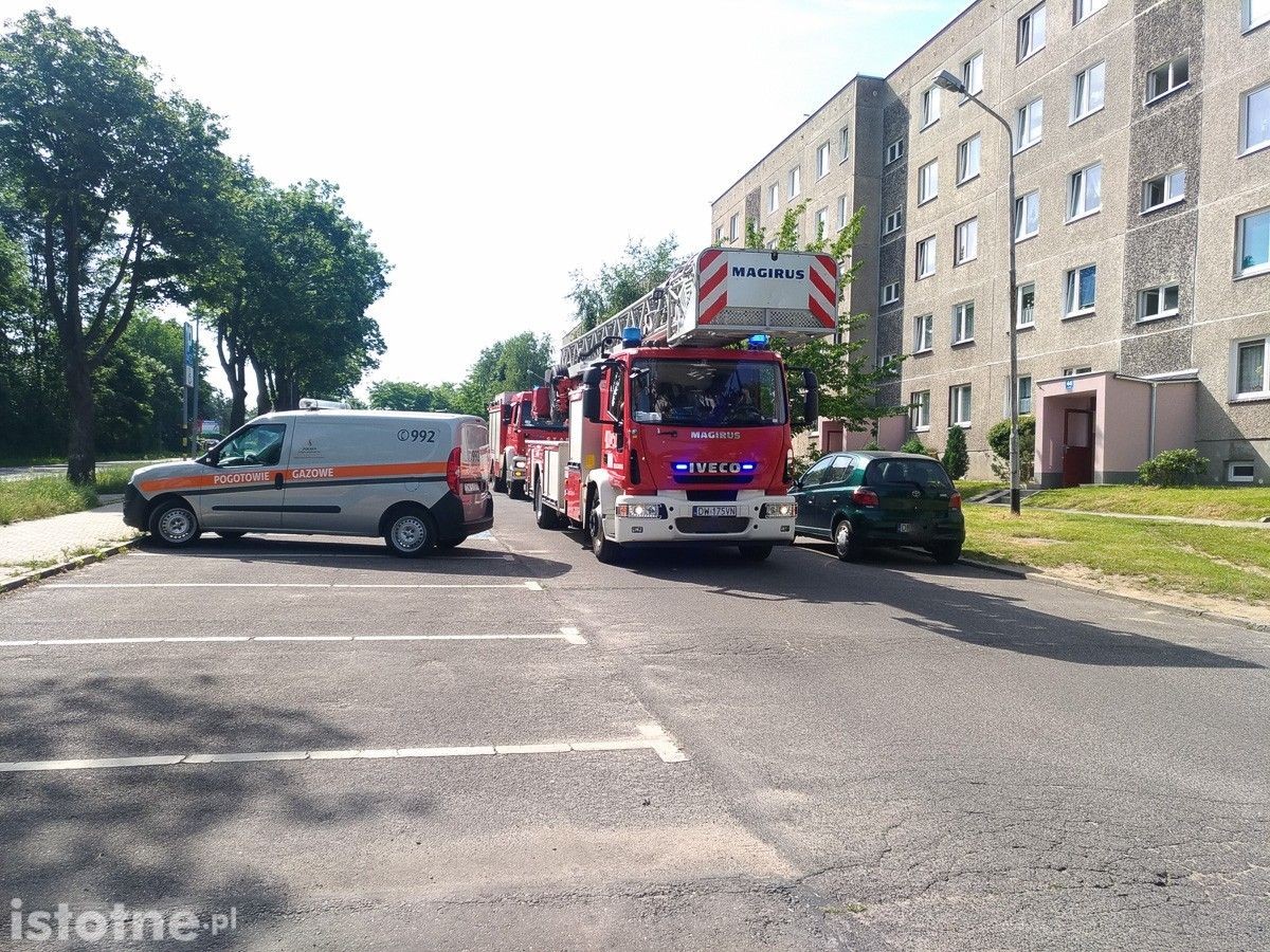 Akcja służb na Kosiby