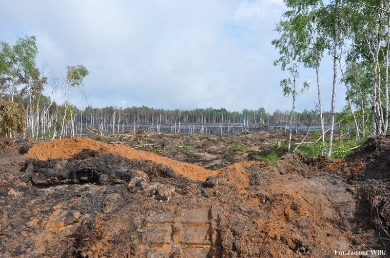 Pożar na poligonie, spłonęło 15 ha