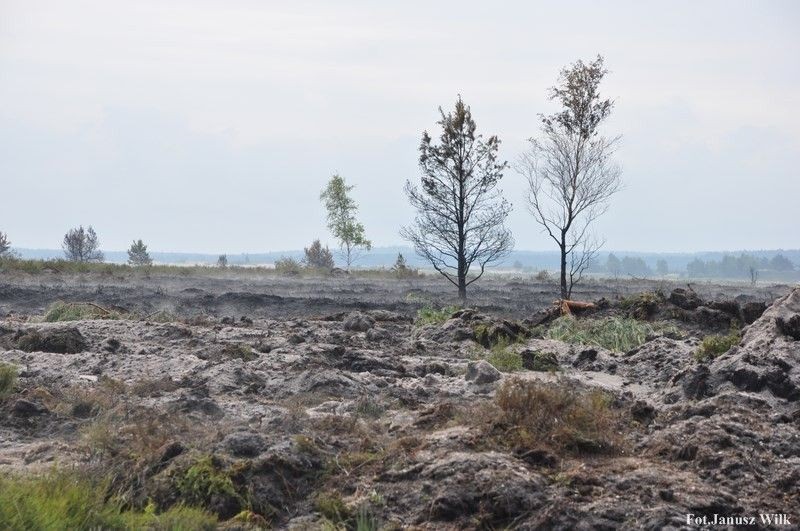 Pożar na poligonie, spłonęło 15 ha