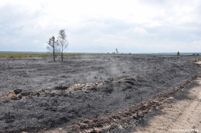 Pożar na poligonie, spłonęło 15 ha