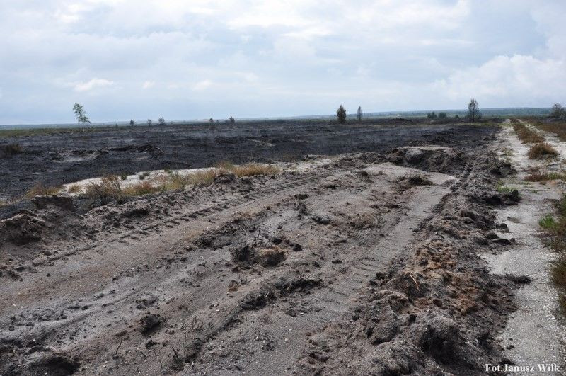 Pożar na poligonie, spłonęło 15 ha