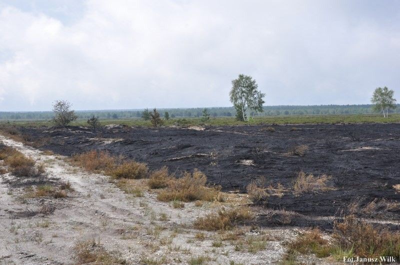 Pożar na poligonie, spłonęło 15 ha