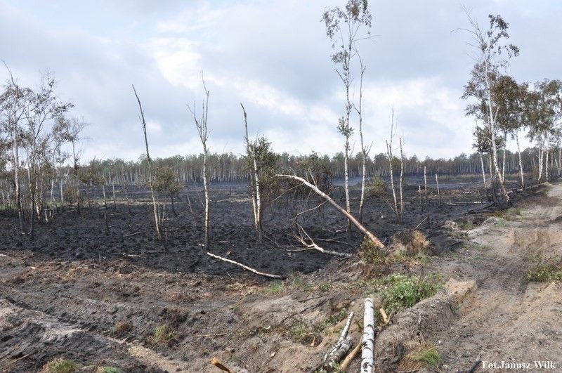 Pożar na poligonie, spłonęło 15 ha
