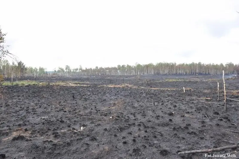 Pożar na poligonie, spłonęło 15 ha