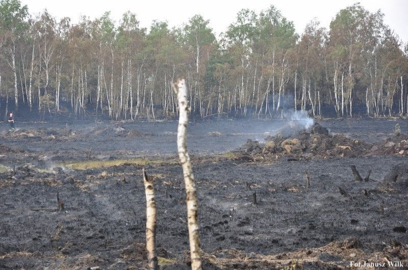 Pożar na poligonie, spłonęło 15 ha