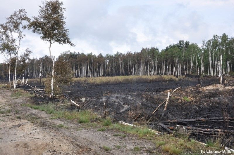 Pożar na poligonie, spłonęło 15 ha